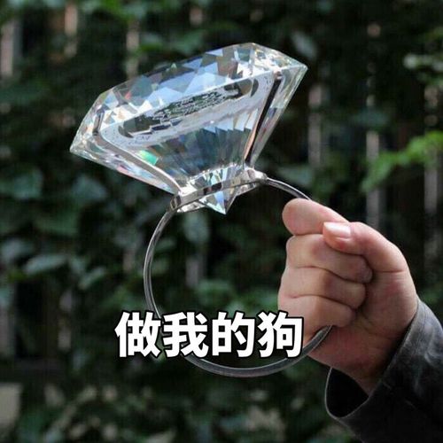做我的狗