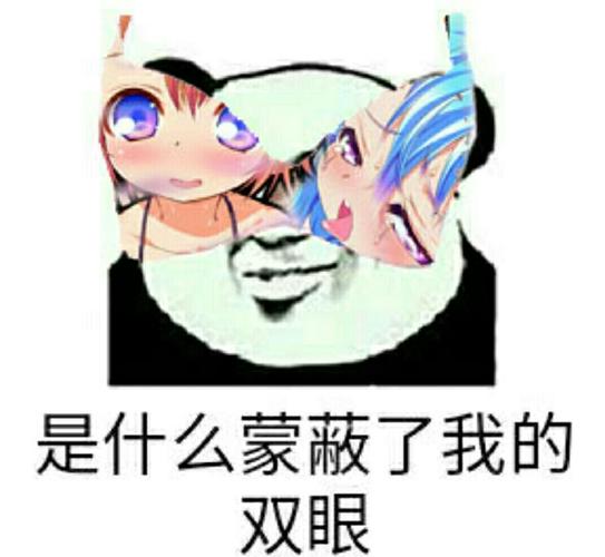 是什么蒙蔽了我的 双眼
