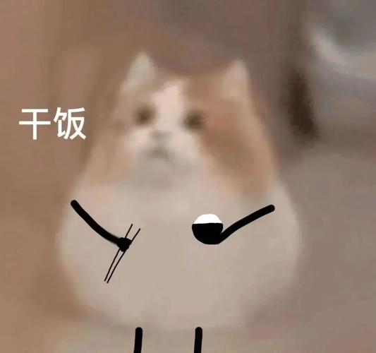 干饭 一