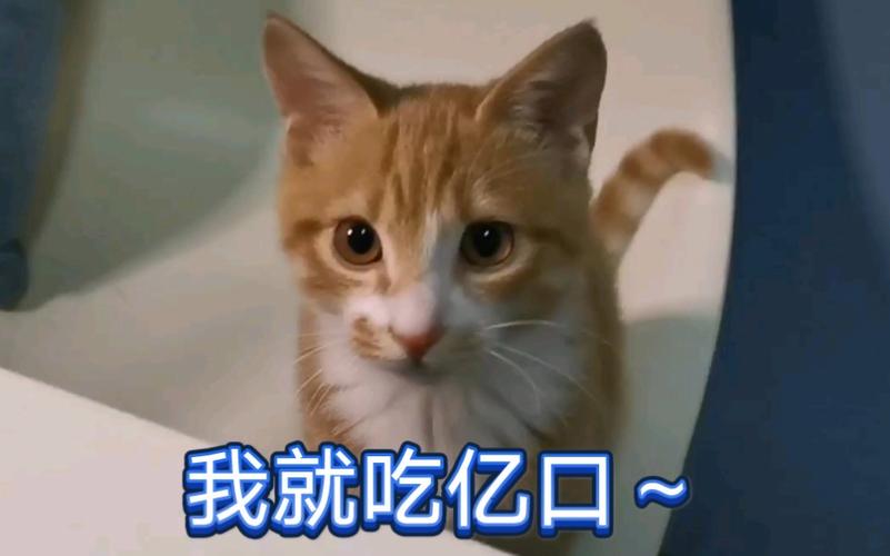 我就吃亿口