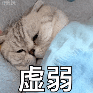 回糖妹 虚弱