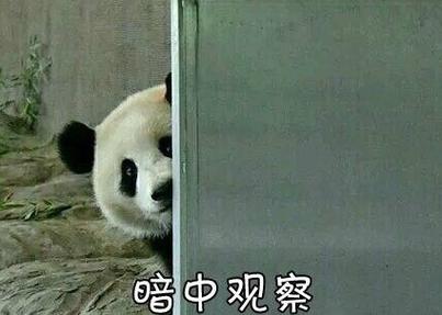 暗中观察
