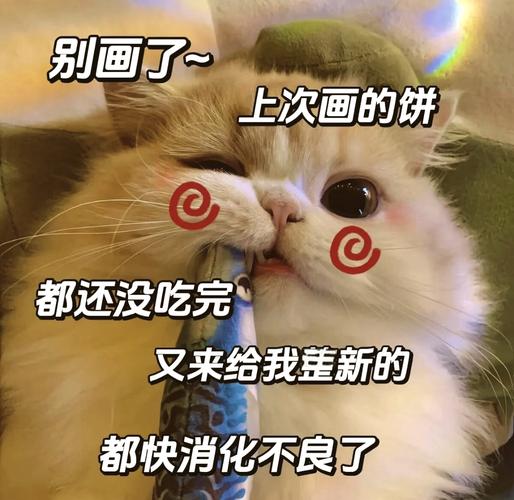 别画了~ 上次画的饼 都还没吃完 又来给我辈新的 都快消化不良了