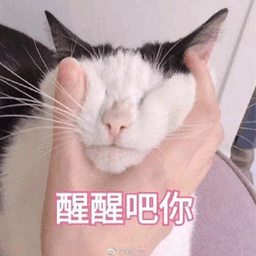醒醒吧你
