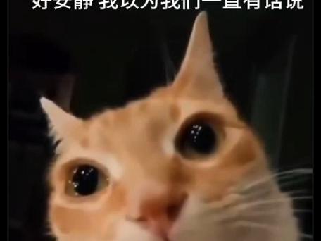 好女静我以为我们一直有站说
