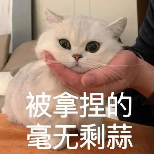 被拿捏的 毫无刺蒜