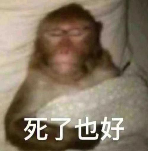 死了也好