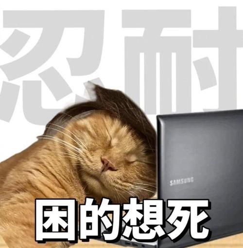 团的想死