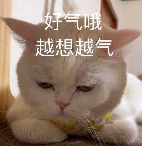 好气哦 越想越气