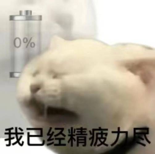 我已经精疲力尽