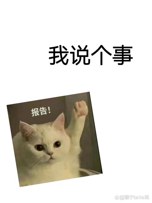 我说个事 报告！ @宁taks