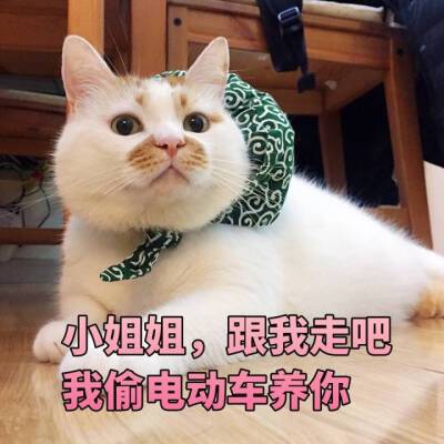 小姐姐，跟我走吧 我偷电动车养你
