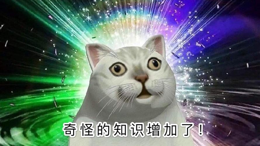 奇怪的知识增加了！
