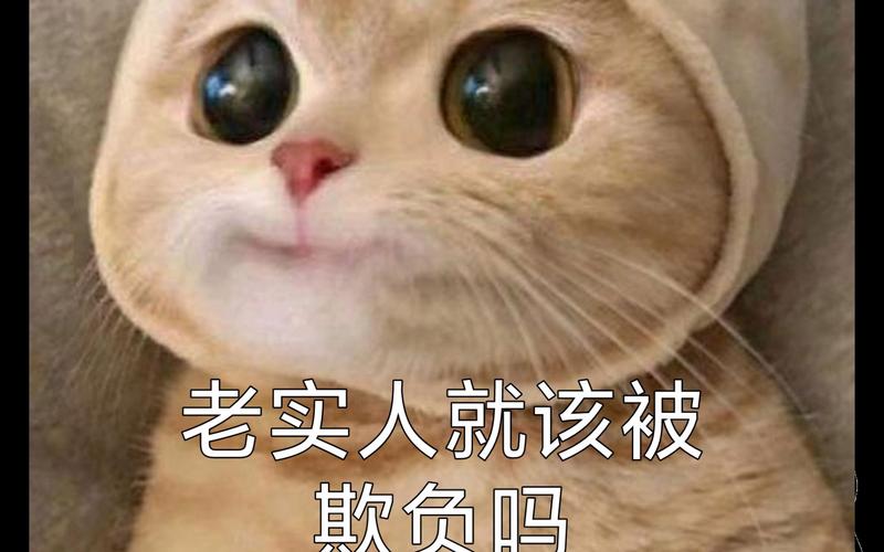 老实人就该被 欺负吗