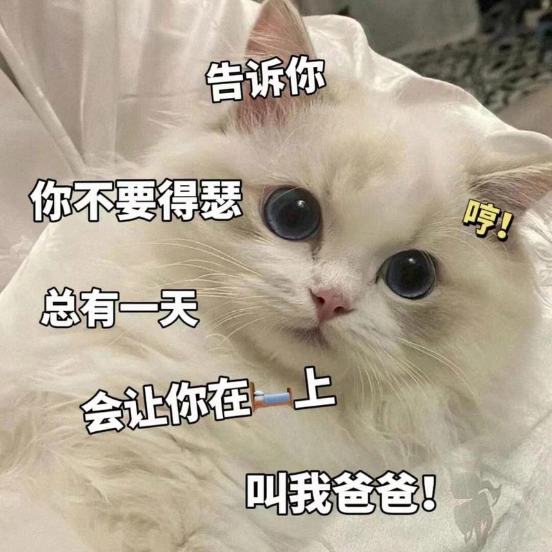 告诉你 你不要得瑟 呼！ 总有一天 会让你在-上 叫我爸爸！