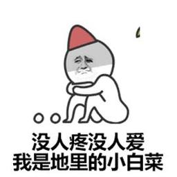 没人疼没人爱 我是地里的小白菜