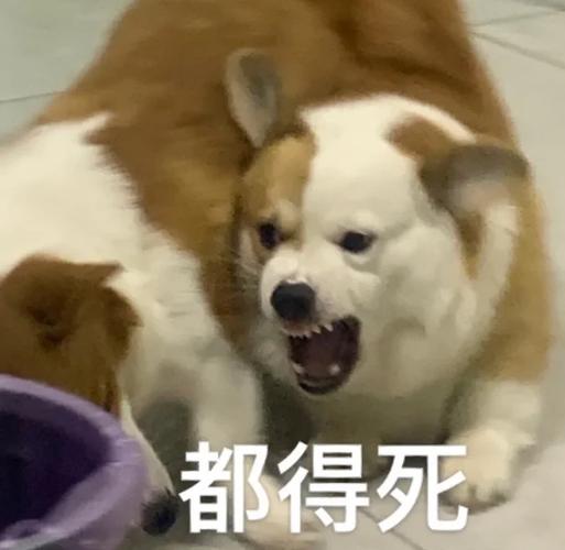 都得死