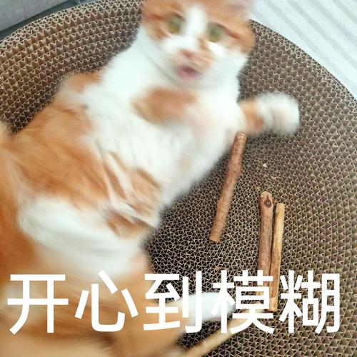 开心到模糊