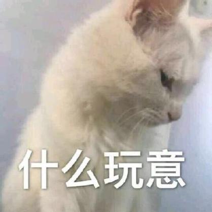 什么玩意