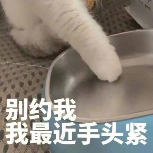 别约我 我最近手头紧