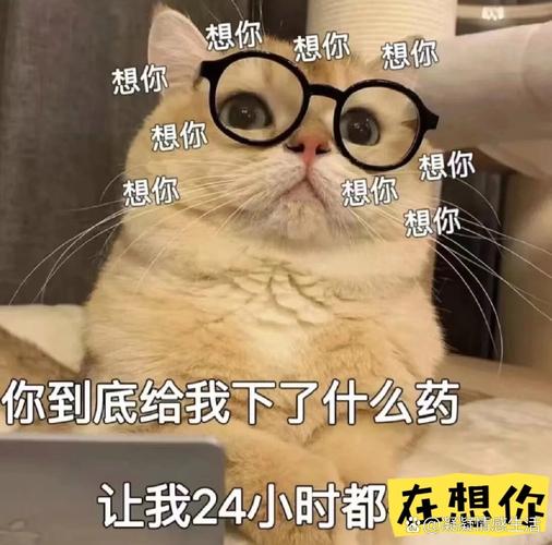 想你 想你 想你 想你 想你 想你 情你 想你 你到底给我下了什么药 让我24小时都在想你