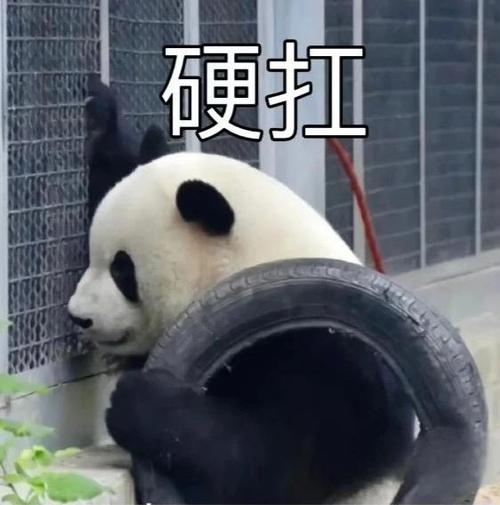 硬扛