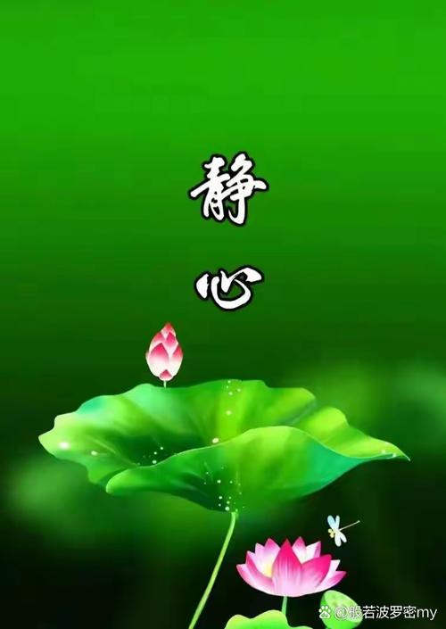 静 心 @腹若波罗密my