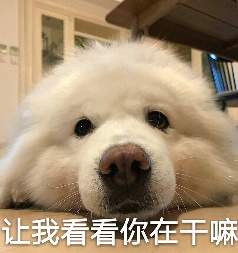 让我看看你在干嘛