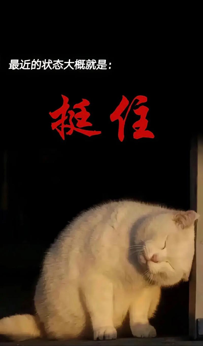 最近的状态大概就是： 挺住