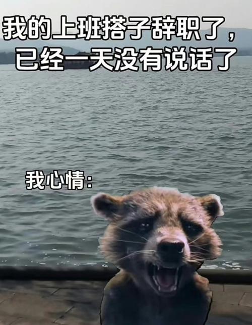 我的上班搭子辞职了， 已经一天没有说话了 我心情：