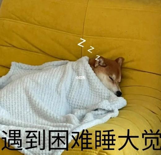 遇到困难睡大觉