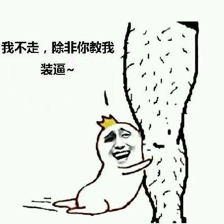 我不走，除非你教我 装逼~