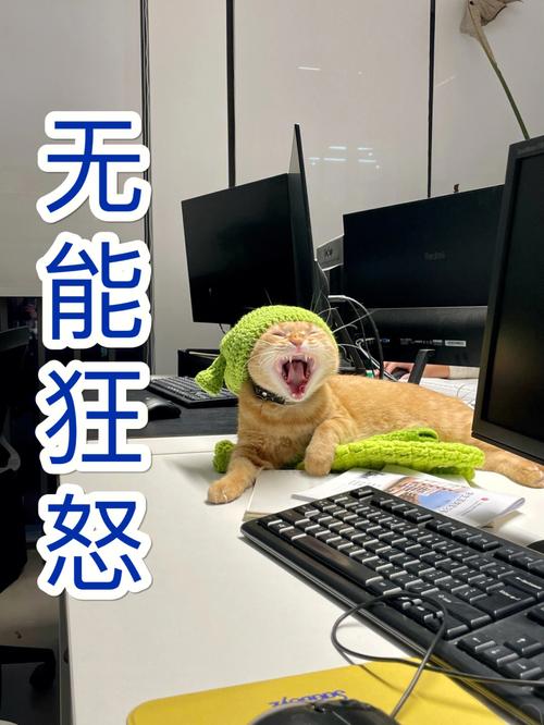 无能狂怒