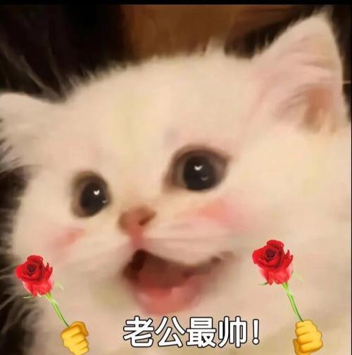 老公最帅！