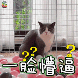 一 脆 惜 遍