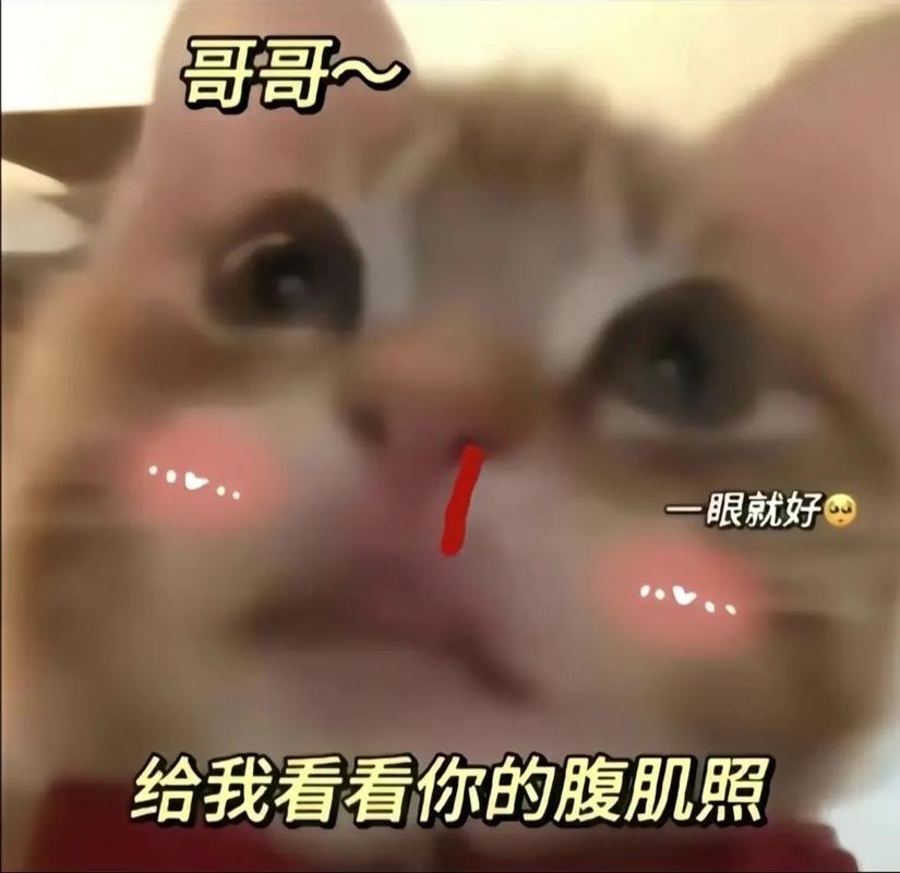 哥哥~ 眼就好 给我看看你的腹肌照