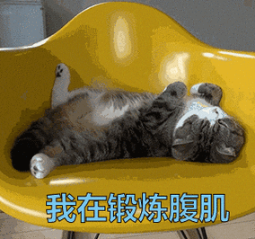 我在锻炼腹肌