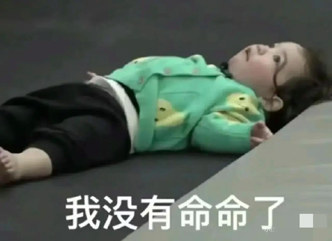 我没有命命了