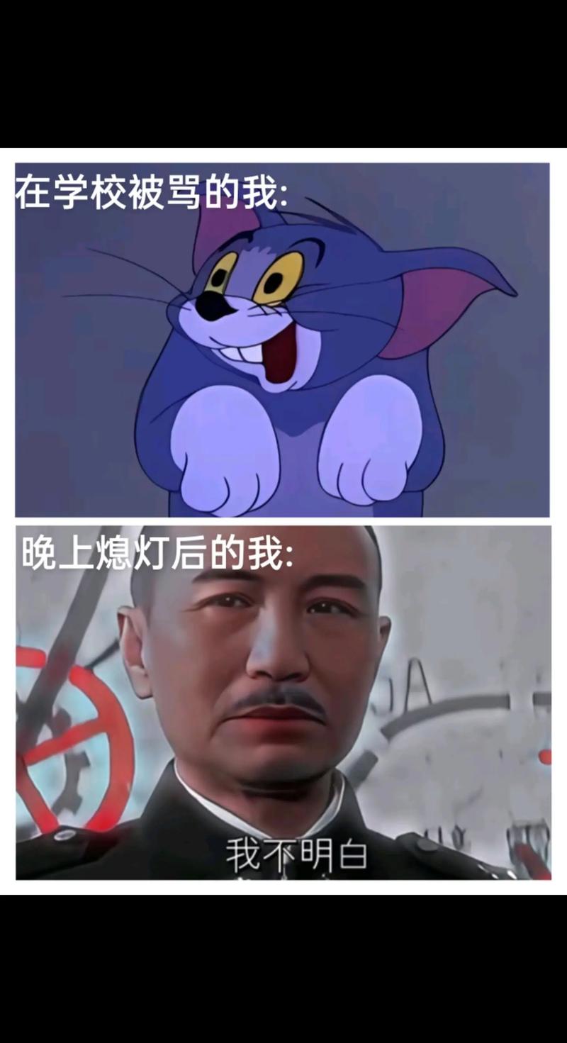 在学校被骂的我： 晚上熄灯后的我： 我不明白