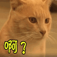 啊？