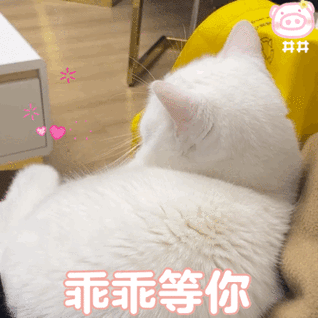 乖乖等你