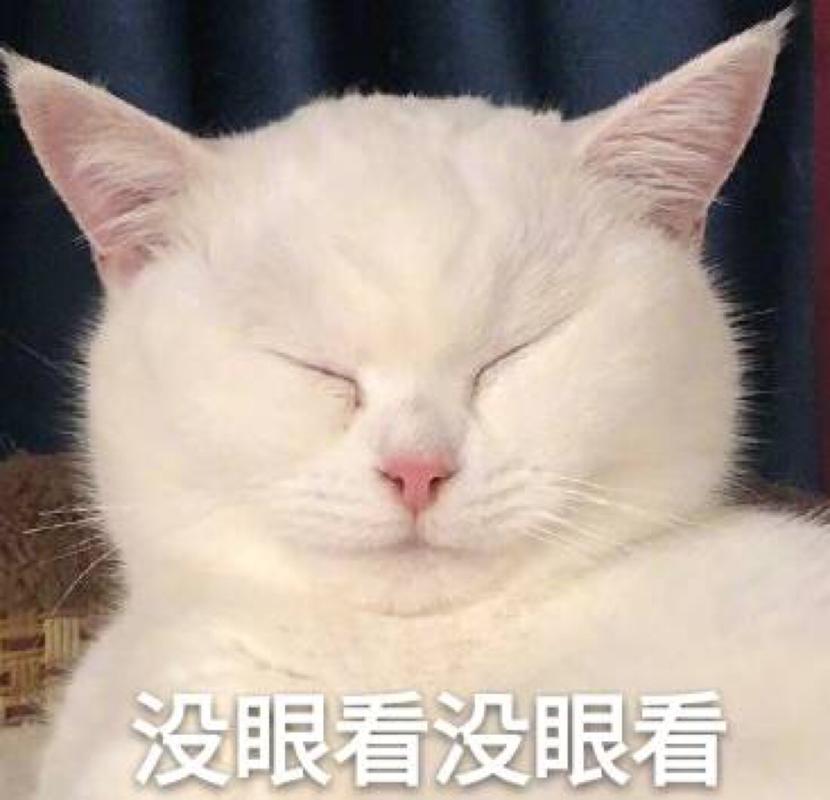 没眼看没眼看