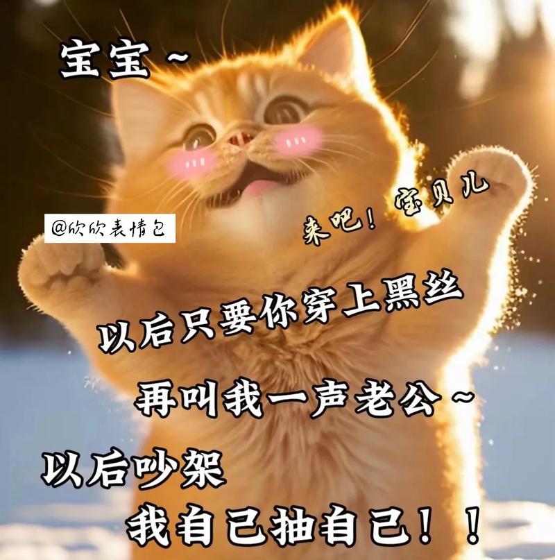 宝宝 来吧！宝贝儿 @欣欣表情包 以后只要你穿上黑丝 再叫我一声老公 以后吵架 我自己抽自己！