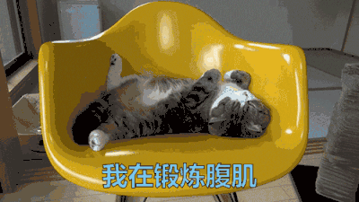 我在锻炼腹肌