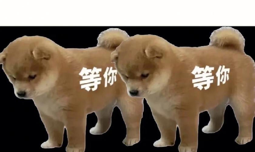 等你 等你