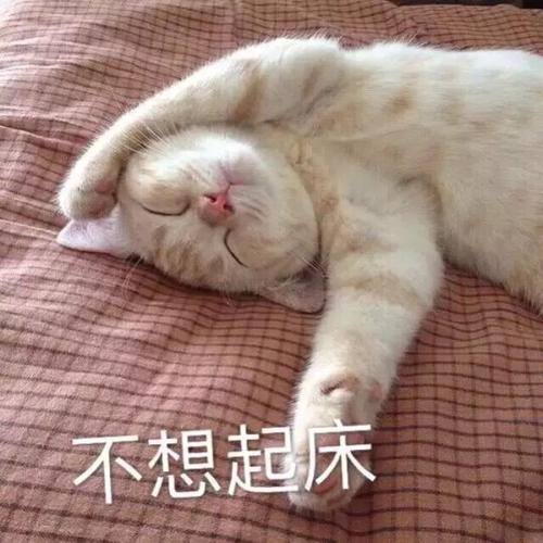不想起床
