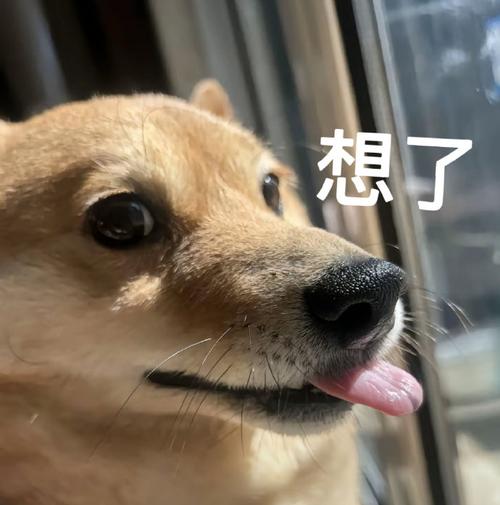 想了