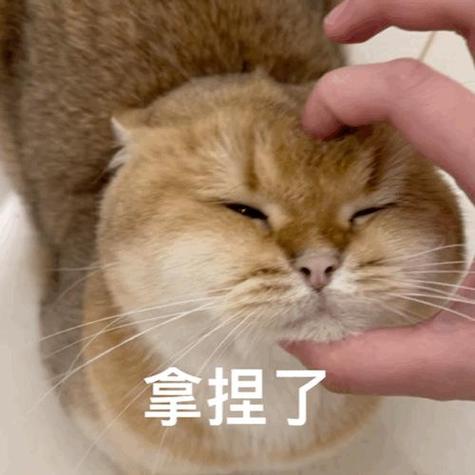 拿捏了