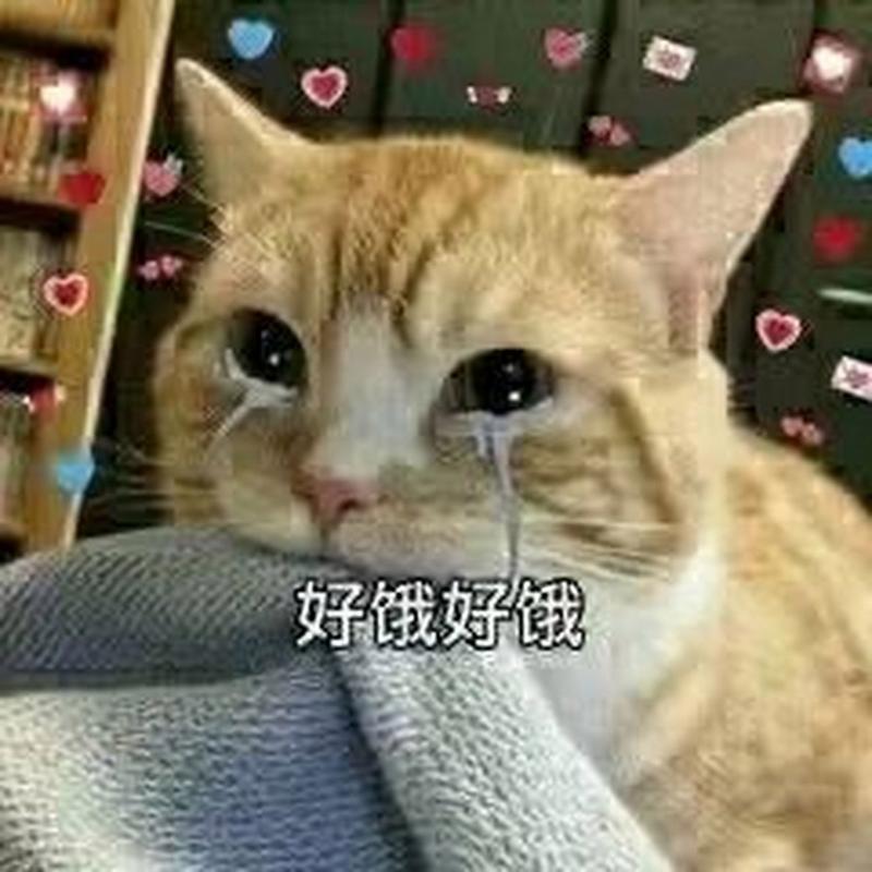 好饿好饿