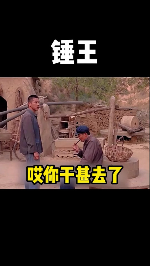 锤王 哎你干甚去了